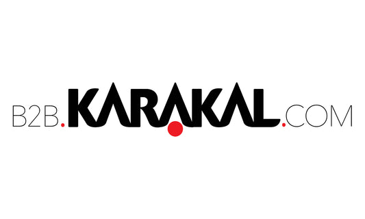 Exciting News: Launch of the New Karakal B2B Website!